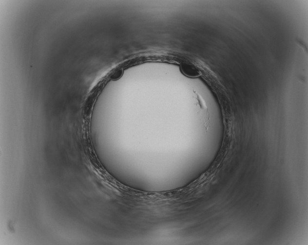 X0000103941208200809191139
