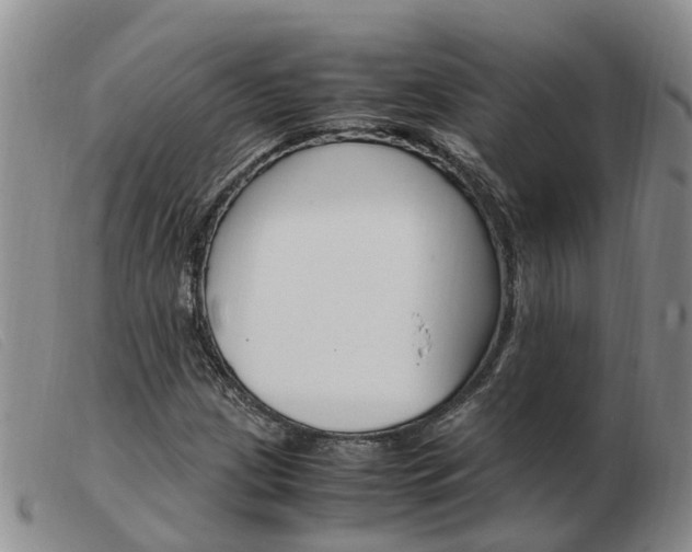 X0000103941209200809191139