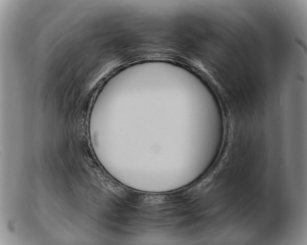 X0000103941211200809191139
