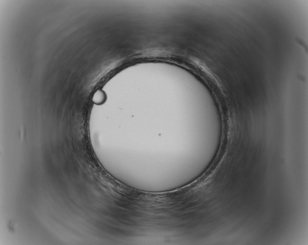 X0000103941213200809191139