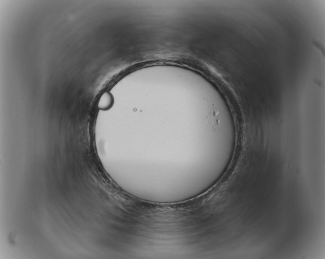 X0000103941214200809191139