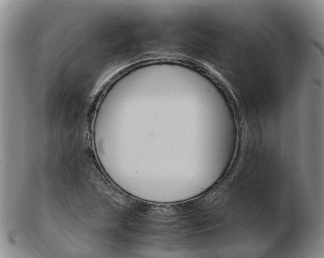 X0000103941215200809191139