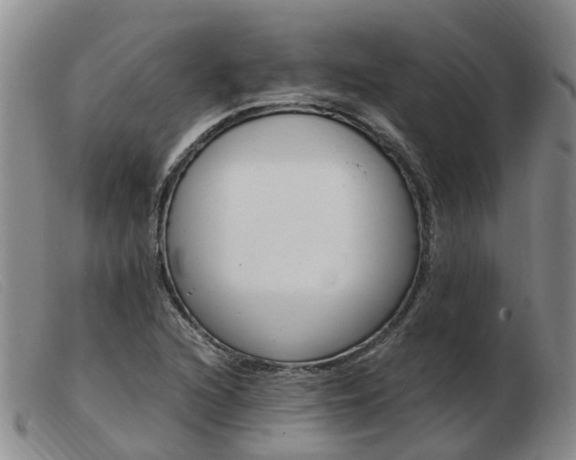 X0000103941216200809191139
