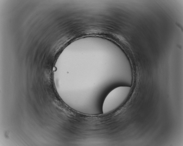 X0000103941217200809191139