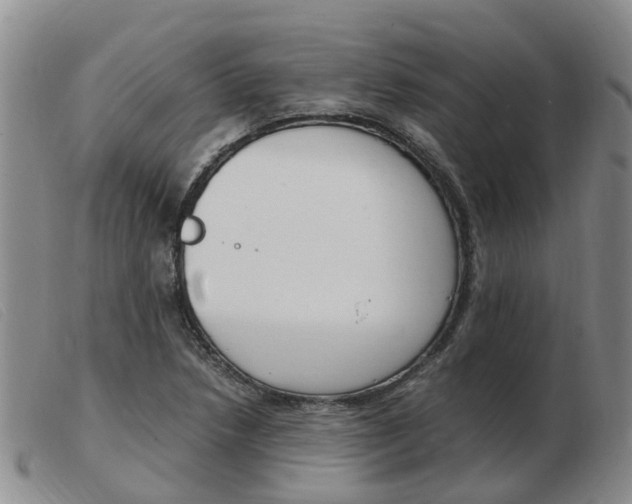 X0000103941218200809191139