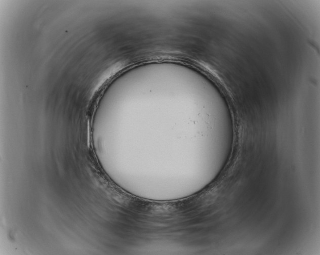 X0000103941219200809191139