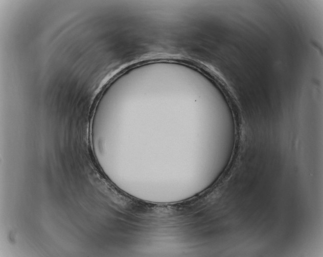X0000103941220200809191140