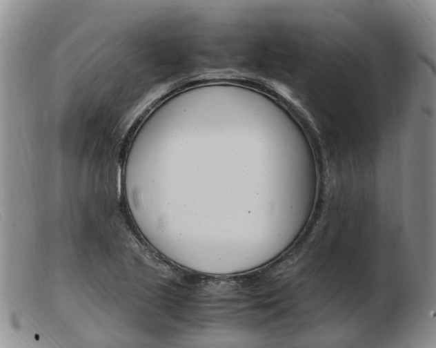 X0000103941221200809191140