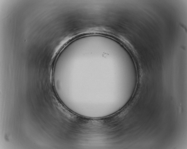 X0000103941224200809191140