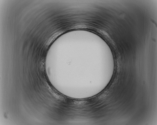 X0000103941225200809191140