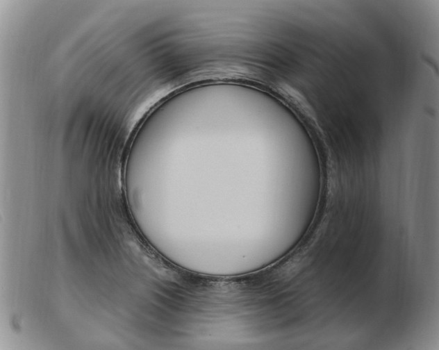 X0000103941226200809191140