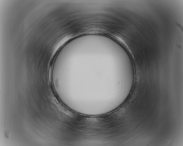X0000103941227200809191140
