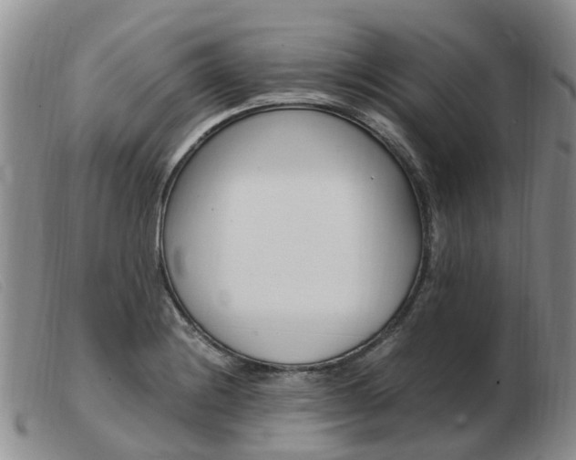 X0000103941228200809191140