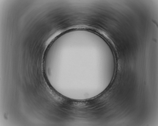 X0000103941229200809191140