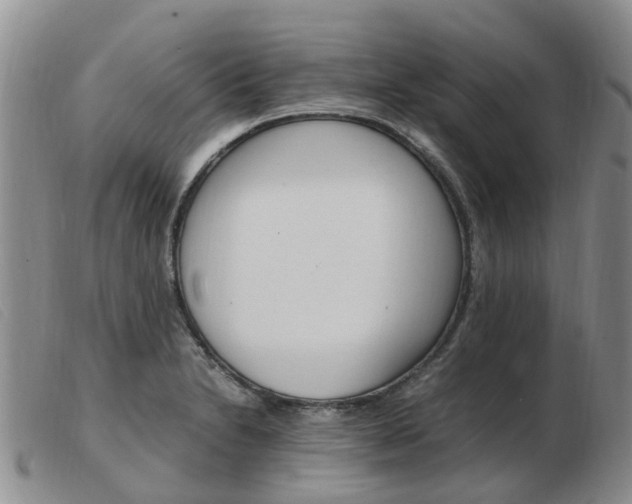 X0000103941230200809191140