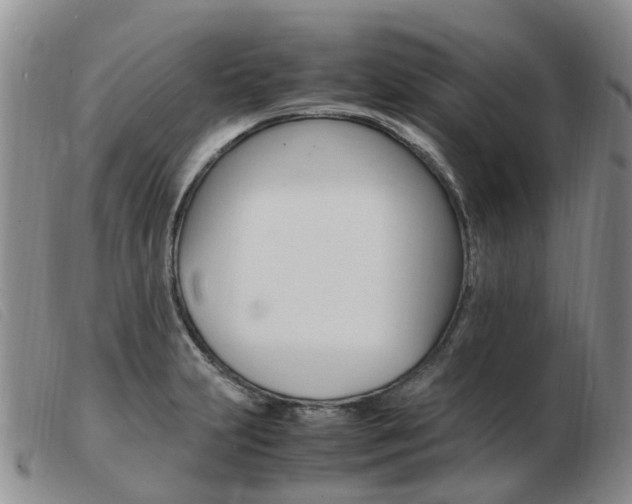 X0000103941231200809191140