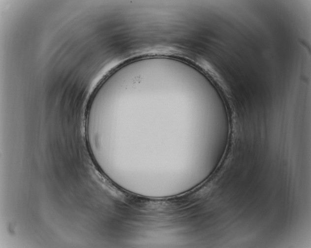 X0000103941232200809191140
