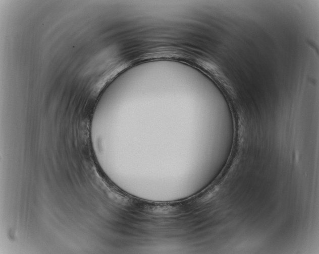 X0000103941233200809191140