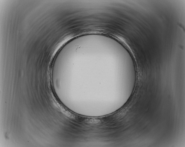 X0000103941235200809191140