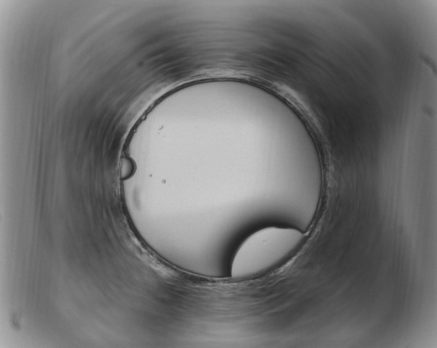 X0000103941236200809191140