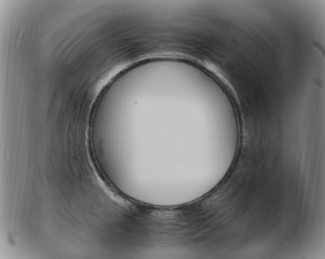 X0000103941237200809191140