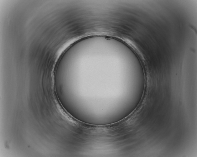 X0000103941238200809191140