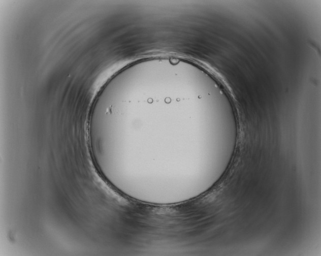 X0000103941239200809191140