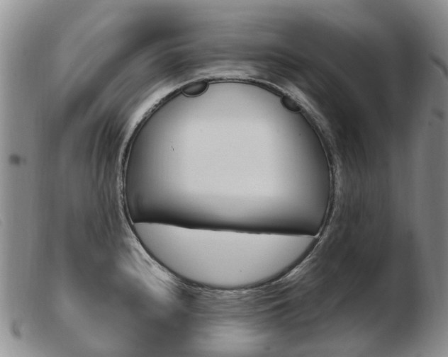 X0000103941240200809191140