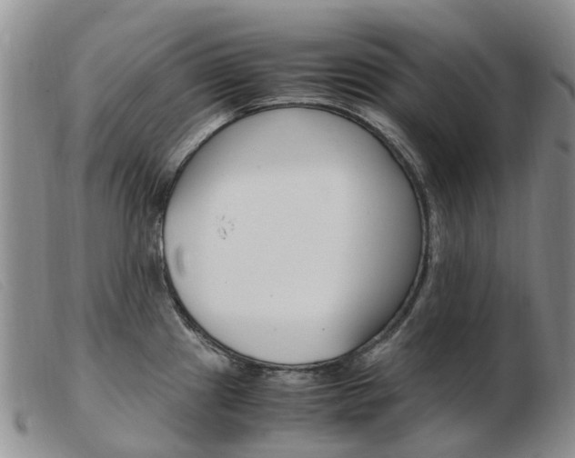 X0000103941241200809191140