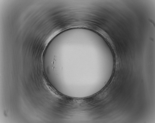 X0000103941242200809191140