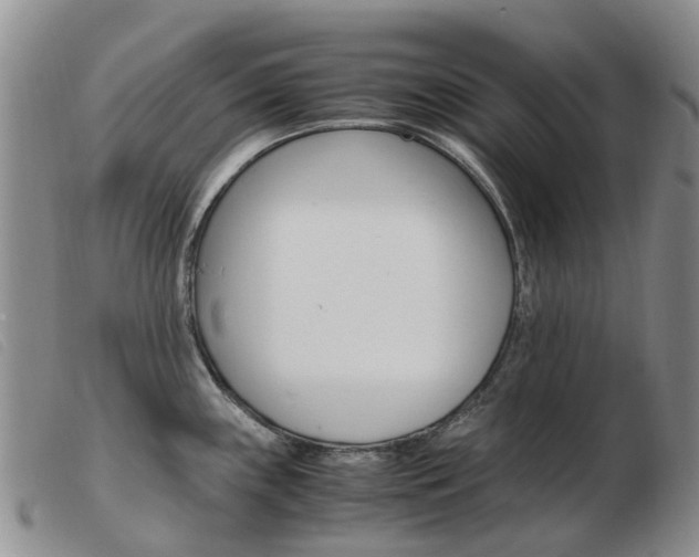 X0000103941243200809191140
