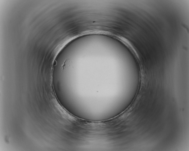 X0000103941244200809191140