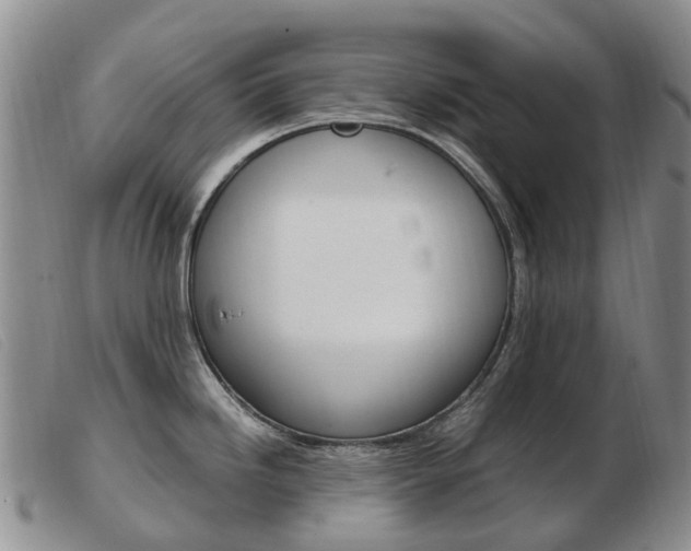 X0000103941246200809191140