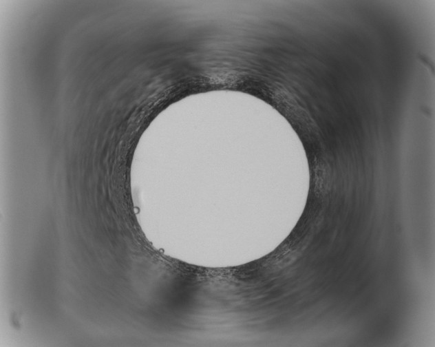 X0000103941249200809191139