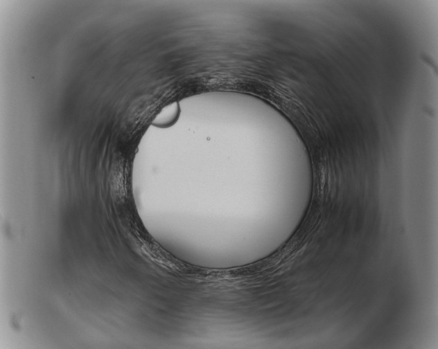 X0000103941250200809191139