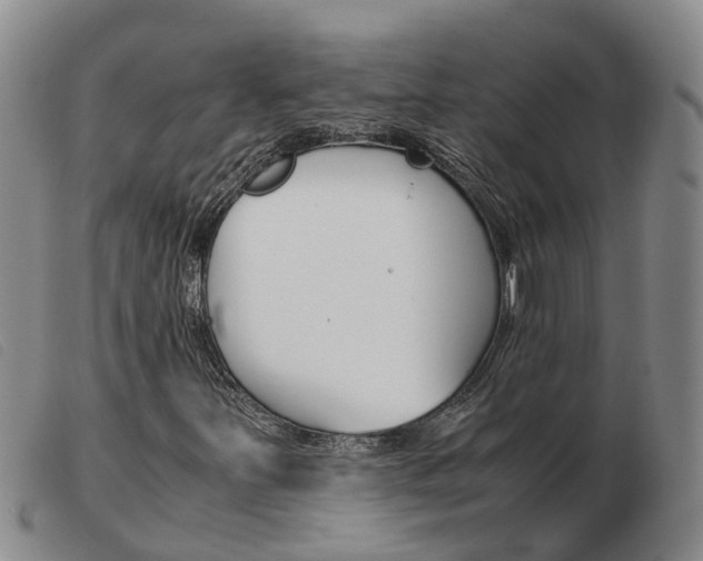 X0000103941251200809191139