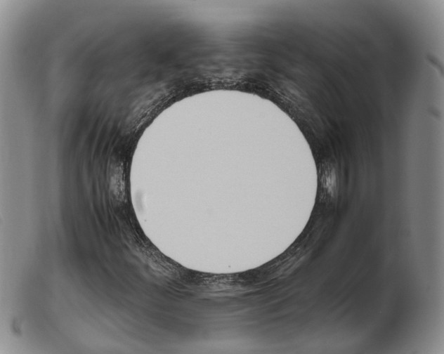 X0000103941252200809191139