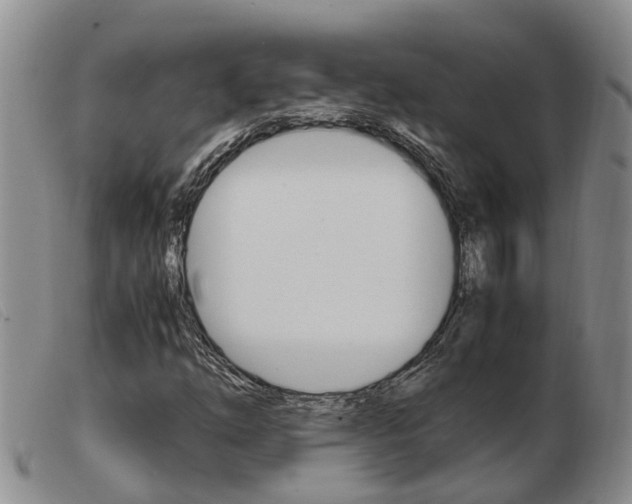 X0000103941254200809191139