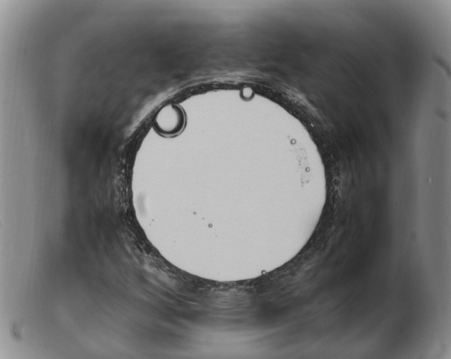 X0000103941256200809191139