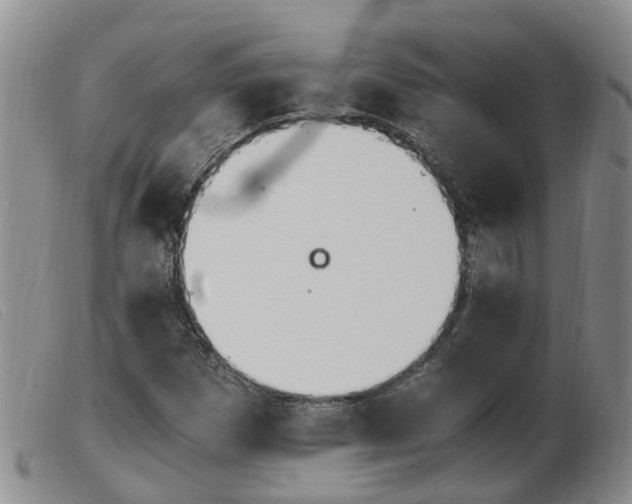 X0000103941257200809191139
