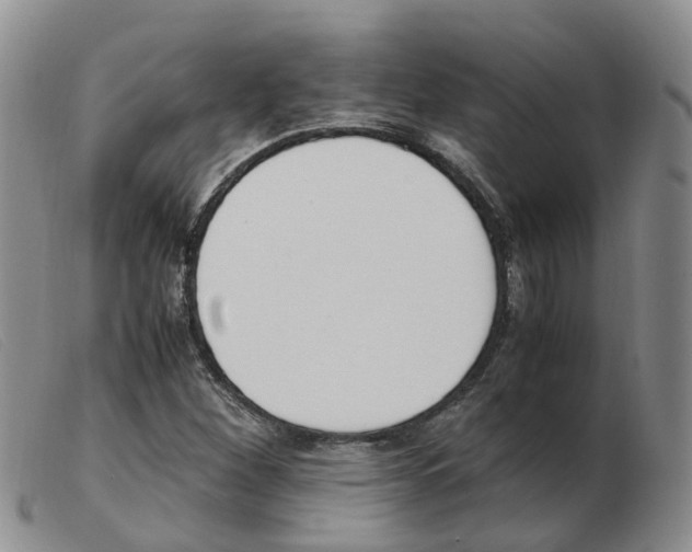 X0000103941260200809191139