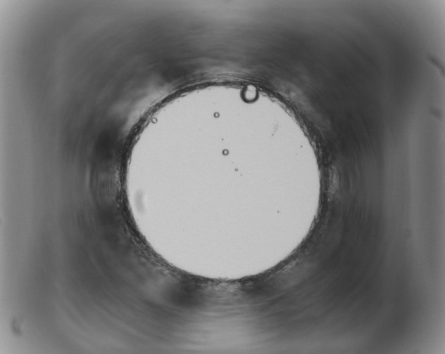 X0000103941261200809191139