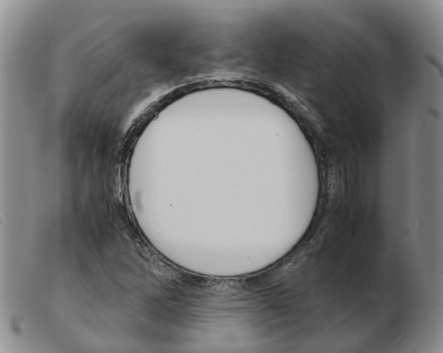 X0000103941262200809191139