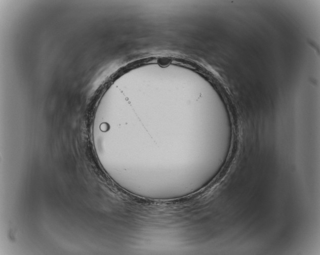 X0000103941263200809191139