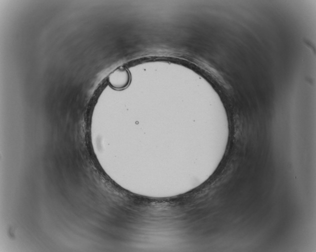 X0000103941264200809191139