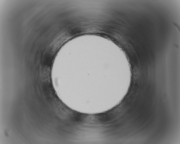 X0000103941265200809191139