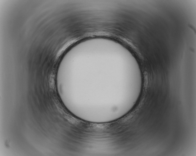 X0000103941266200809191139