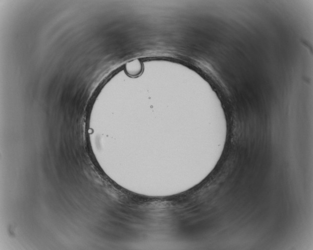 X0000103941268200809191139