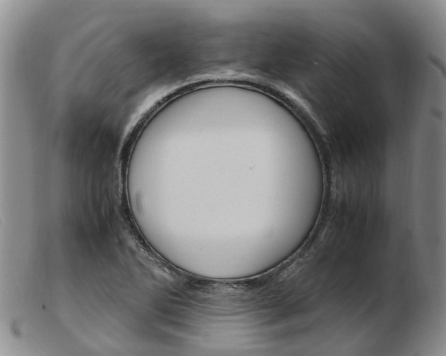 X0000103941270200809191139