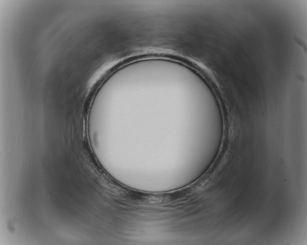 X0000103941271200809191139